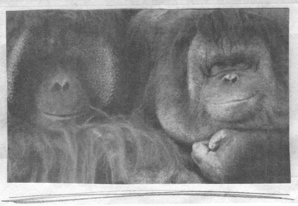 Иллюстрация к книге — Квантовая теория любви [_001031.jpg]