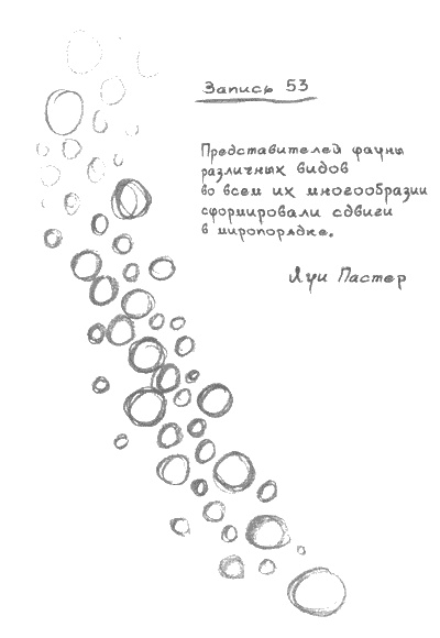 Иллюстрация к книге — Квантовая теория любви [_00123.jpg]