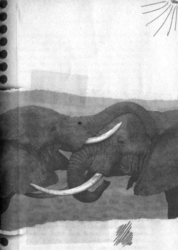 Иллюстрация к книге — Квантовая теория любви [_001231.jpg]