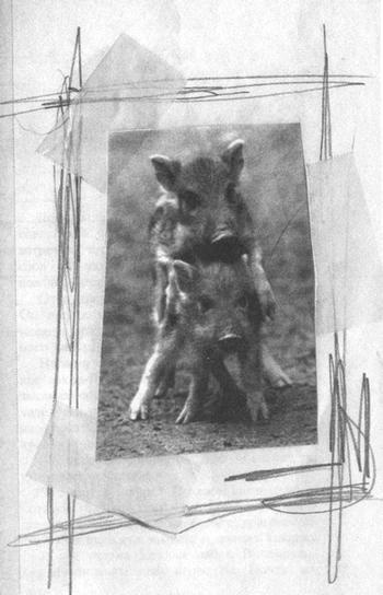 Иллюстрация к книге — Квантовая теория любви [_001751.jpg]