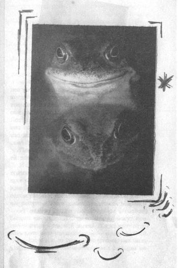 Иллюстрация к книге — Квантовая теория любви [_001951.jpg]