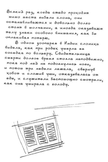 Иллюстрация к книге — Квантовая теория любви [i_009.jpg]