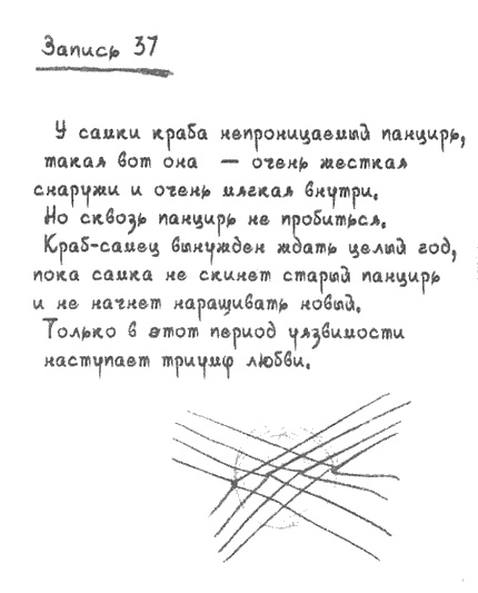 Иллюстрация к книге — Квантовая теория любви [i_012.jpg]