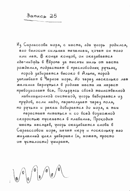 Иллюстрация к книге — Квантовая теория любви [i_014.jpg]