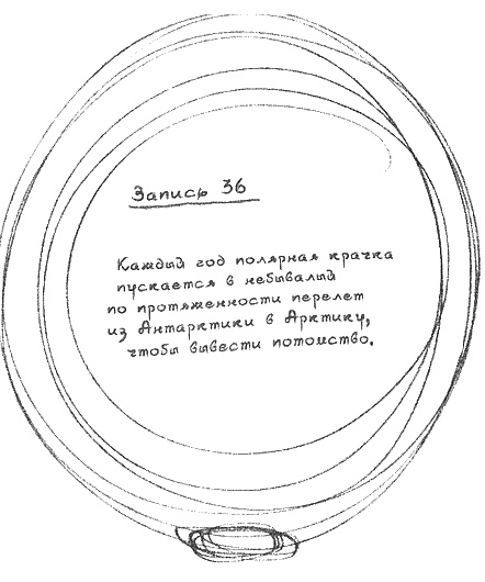 Иллюстрация к книге — Квантовая теория любви [i_019.jpg]