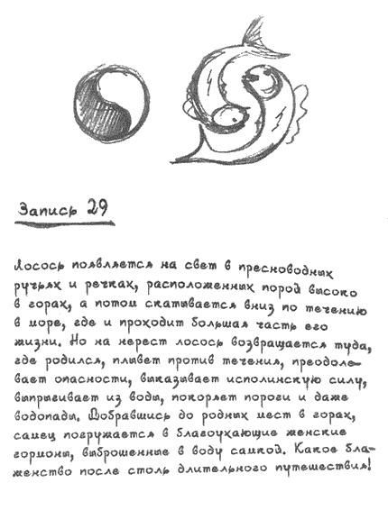 Иллюстрация к книге — Квантовая теория любви [i_022.jpg]