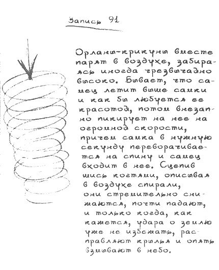 Иллюстрация к книге — Квантовая теория любви [i_025.jpg]