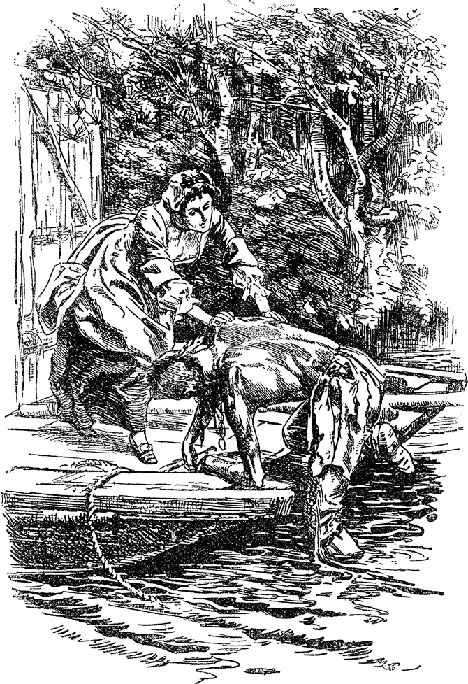 Иллюстрация к книге — Зверобой [i_007.jpg]