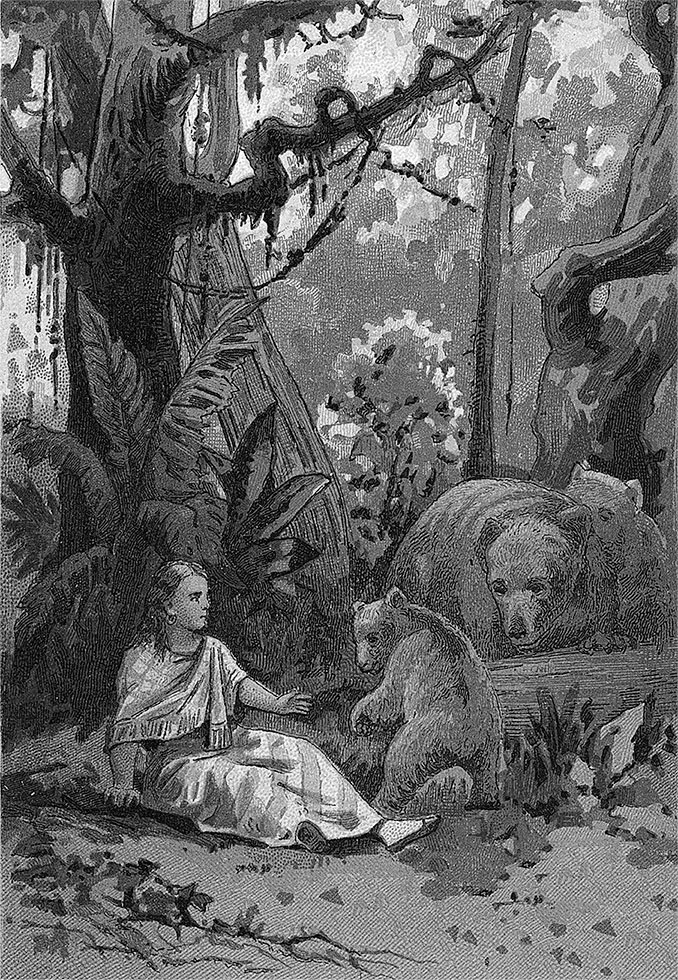 Иллюстрация к книге — Зверобой [i_017.jpg]