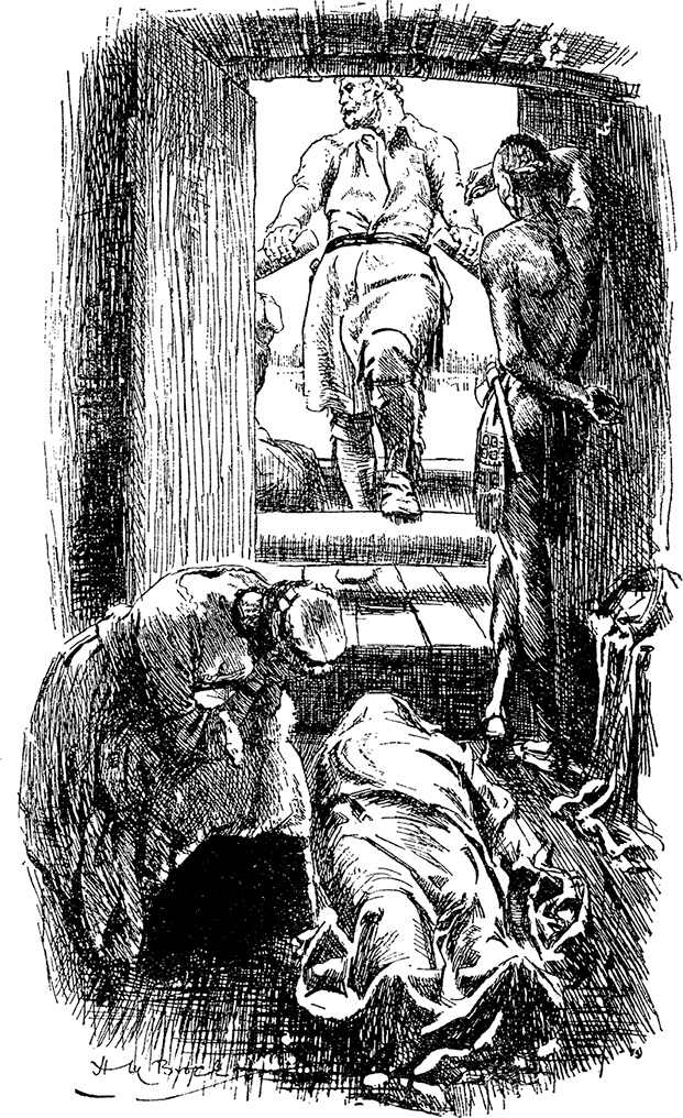 Иллюстрация к книге — Зверобой [i_031.jpg]