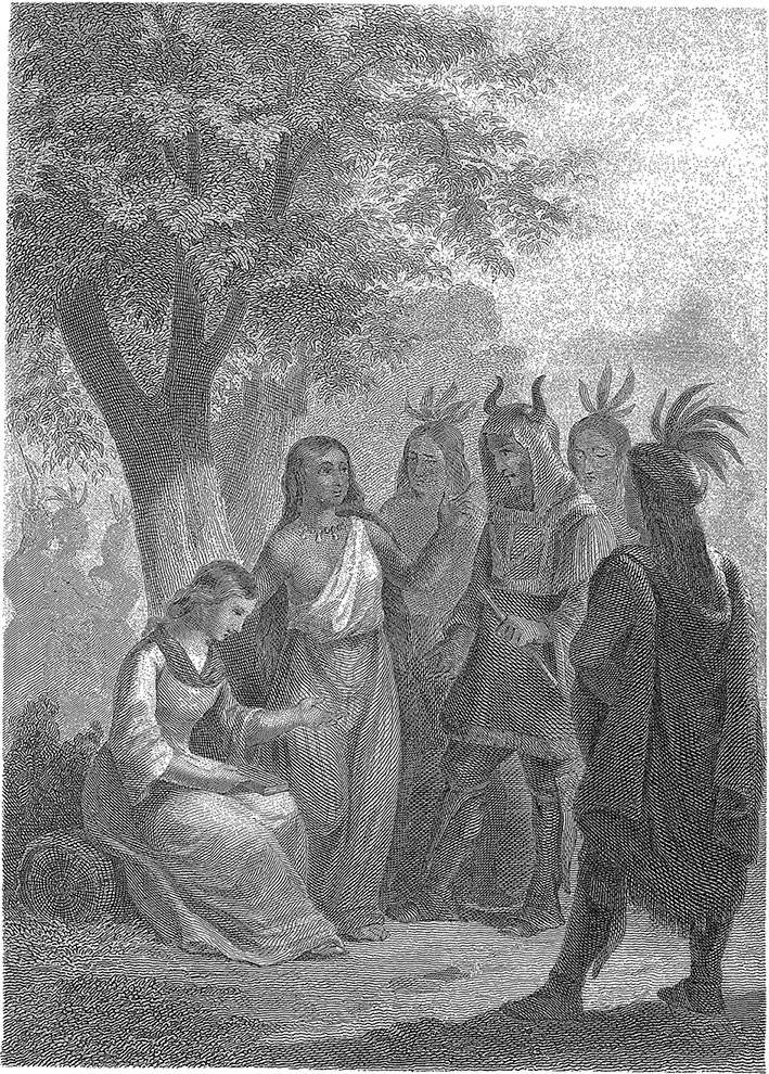 Иллюстрация к книге — Зверобой [i_043.jpg]