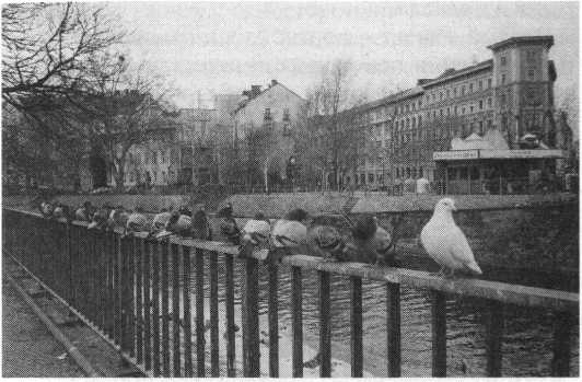 Иллюстрация к книге — Жара [i_001.jpg]