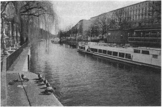 Иллюстрация к книге — Жара [i_004.jpg]