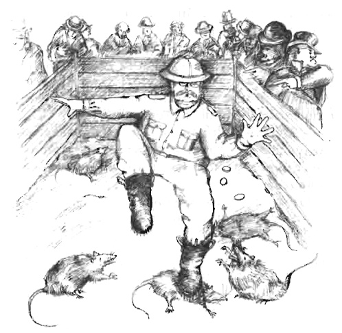 Иллюстрация к книге — Плащ душегуба [pic_4.jpg]