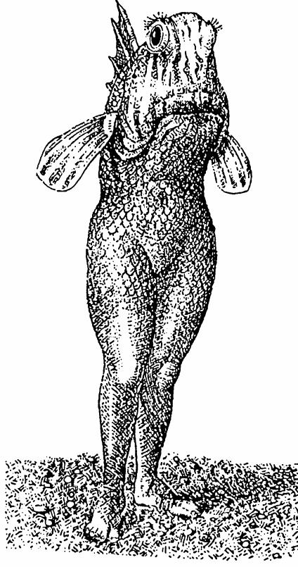 Иллюстрация к книге — Метафизическое кабаре [i_003.jpg]