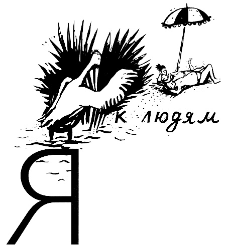 Иллюстрация к книге — В одежде человека [i_010.jpg]