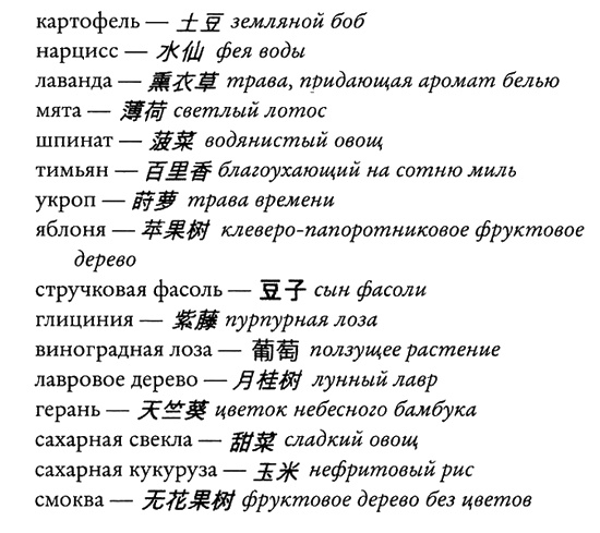 Иллюстрация к книге — Краткий китайско-английский словарь любовников [i_005.jpg]