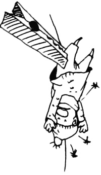 Иллюстрация к книге — Весь мир - чулан [i_062.jpg]