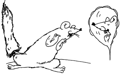 Иллюстрация к книге — Весь мир - чулан [i_081.jpg]