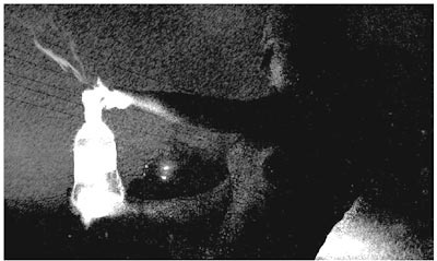 Иллюстрация к книге — Огненное погребение [i_002.jpg]