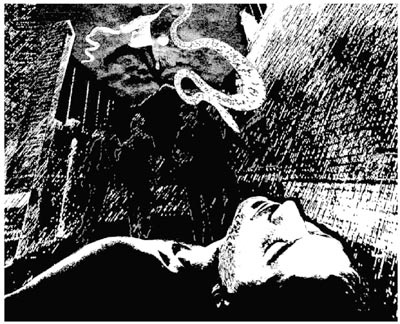 Иллюстрация к книге — Огненное погребение [i_005.jpg]