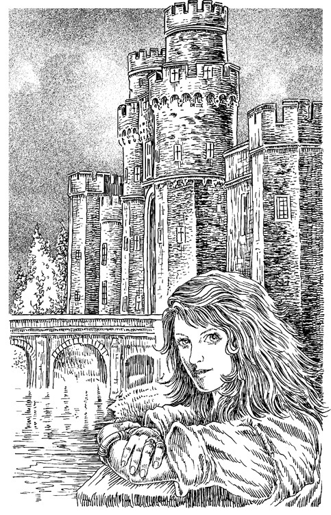 Иллюстрация к книге — Рыжее наследство [_001.jpg]