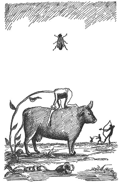 Иллюстрация к книге — Принцесса Ангина [i_004.jpg]