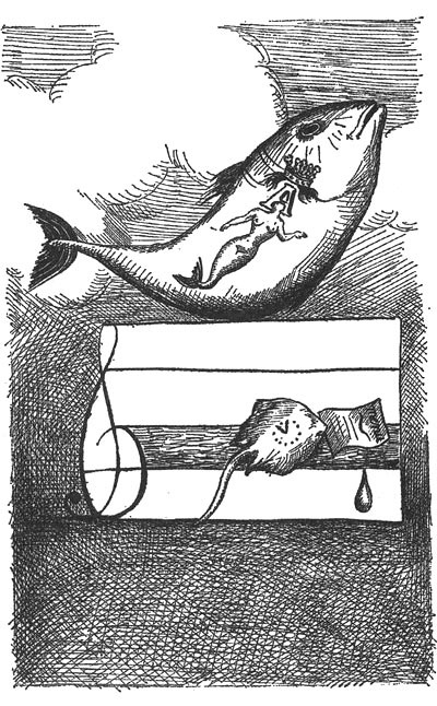 Иллюстрация к книге — Принцесса Ангина [i_005.jpg]