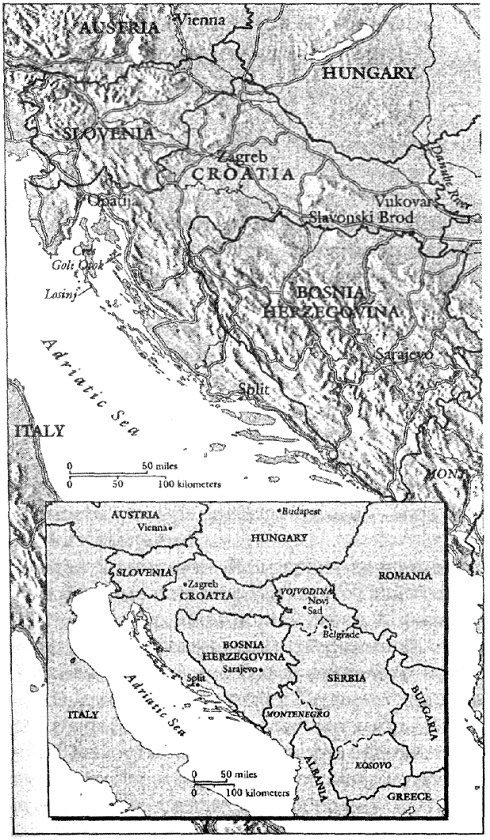 Иллюстрация к книге — День дурака [pic_1.jpg]