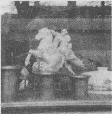 Иллюстрация к книге — Аустерлиц [_10230.jpg]