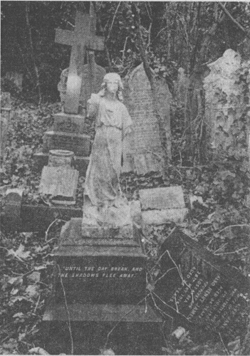 Иллюстрация к книге — Аустерлиц [_10267.jpg]