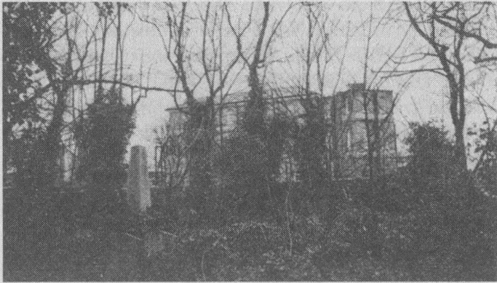 Иллюстрация к книге — Аустерлиц [_10270.jpg]