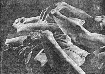 Иллюстрация к книге — Доклад Юкио Мисимы императору [pic_1.jpg]