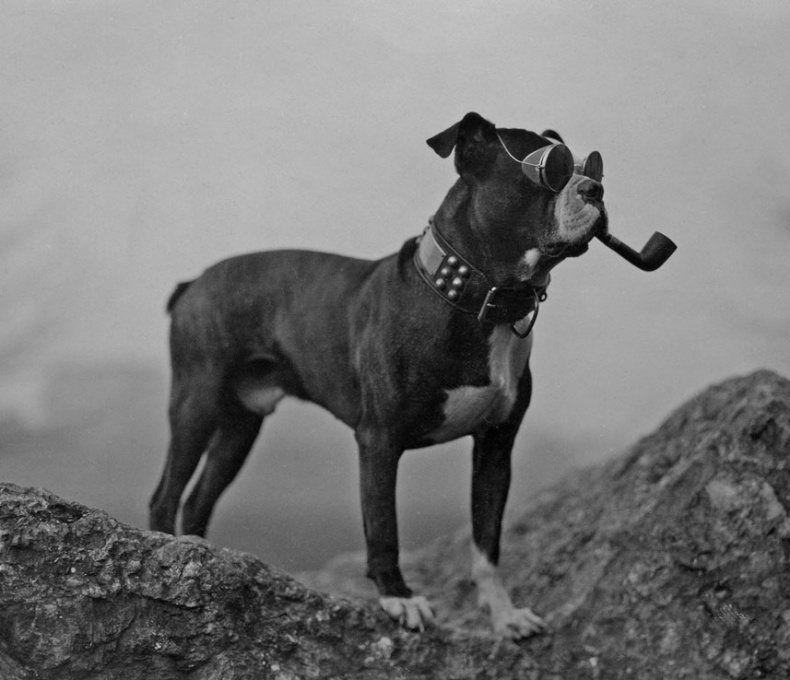 Иллюстрация к книге — Город Пустых. Побег из дома странных детей [i_022.jpg]