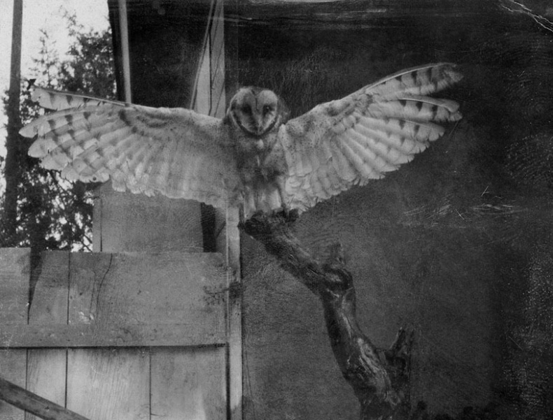 Иллюстрация к книге — Город Пустых. Побег из дома странных детей [i_024.jpg]