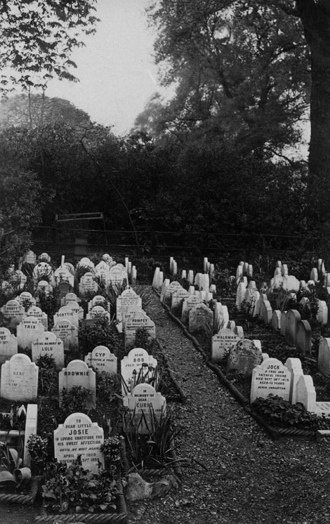 Иллюстрация к книге — Город Пустых. Побег из дома странных детей [i_025.jpg]