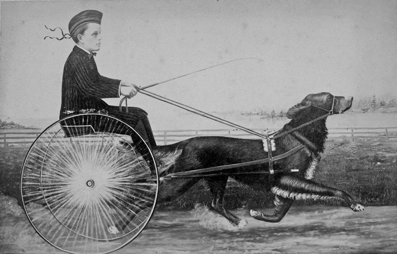 Иллюстрация к книге — Город Пустых. Побег из дома странных детей [i_026.jpg]