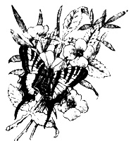 Иллюстрация к книге — Противостояние [i_001.jpg]