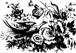 Иллюстрация к книге — Противостояние [i_037.jpg]