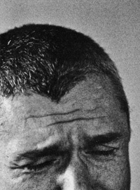 Иллюстрация к книге — Мясо снегиря [i_002.jpg]