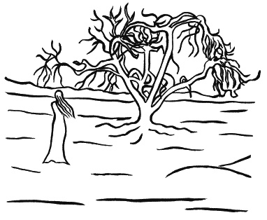 Иллюстрация к книге — Сломанные цветы [_247.jpg]