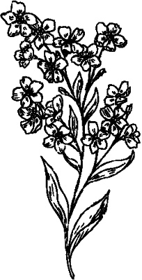 Иллюстрация к книге — Большая книга женской мудрости [_248.jpg]