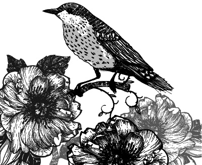 Иллюстрация к книге — Большая книга женской мудрости [_743.jpg]