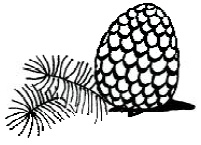 Иллюстрация к книге — Игра в любовь [i_016.jpg]