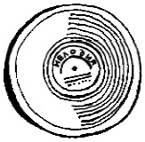 Иллюстрация к книге — Игра в любовь [i_021.jpg]