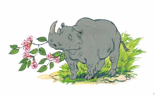 Иллюстрация к книге — Слоненок и другие сказки [i_004.jpg]