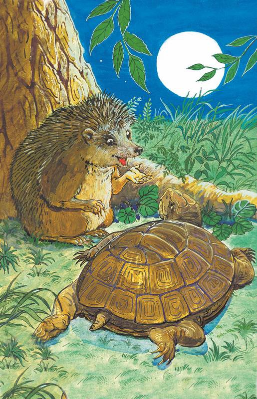 Иллюстрация к книге — Слоненок и другие сказки [i_016.jpg]