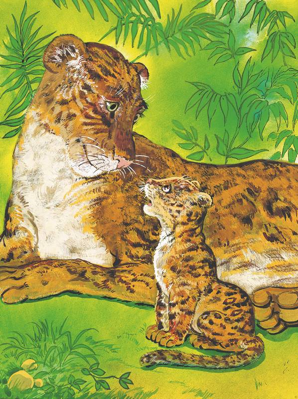 Иллюстрация к книге — Слоненок и другие сказки [i_018.jpg]