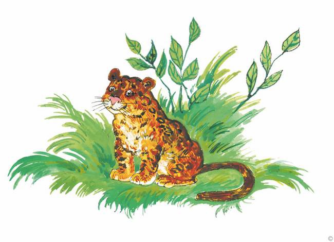 Иллюстрация к книге — Слоненок и другие сказки [i_019.jpg]