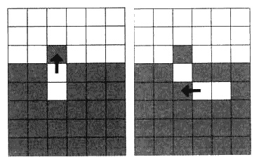 Иллюстрация к книге — Загадочное ночное убийство собаки [i_034.jpg]